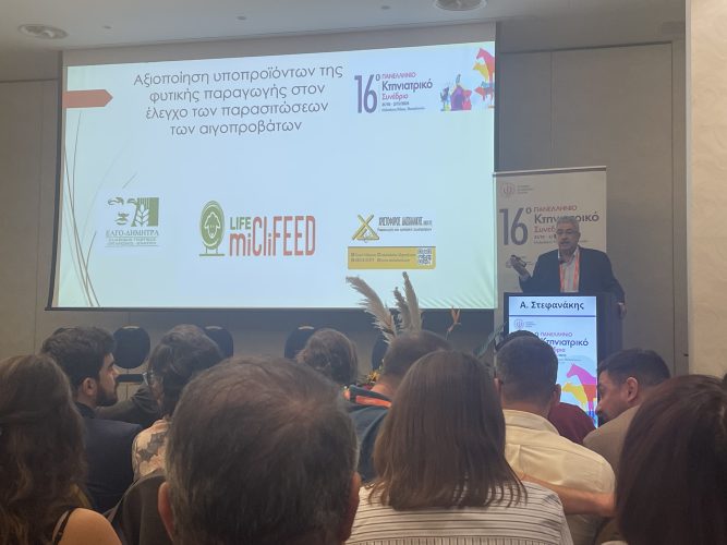 LIFE MiCliFEED at 16th Hellenic Veterinary Congress
