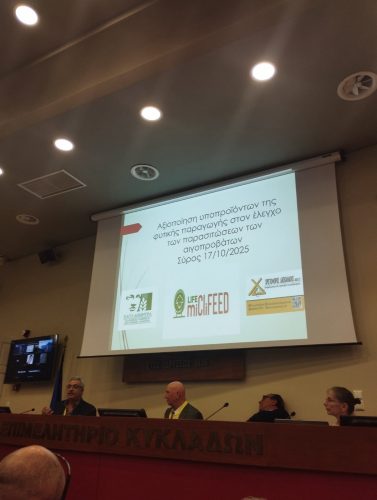 LIFE MiCliFEED was at INSULEUR General Assembly & Annual Forum 2025